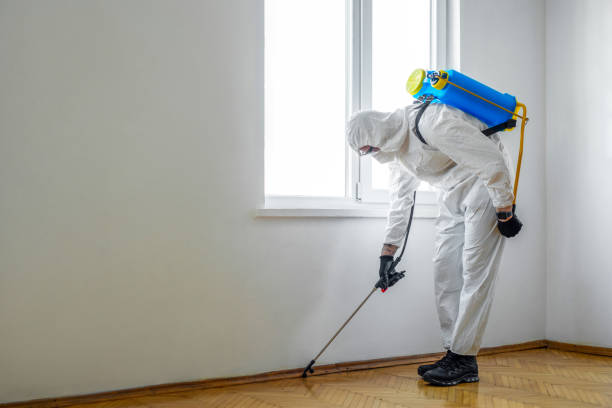 Best Termite Control Services  in Smith Center, KS