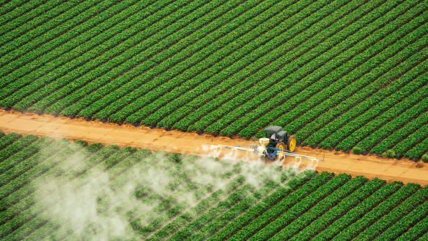 Best Wasp Removal Services  in Smith Center, KS