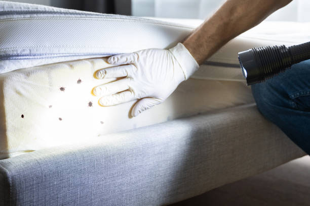 Best Affordable Pest Control Services  in Smith Center, KS